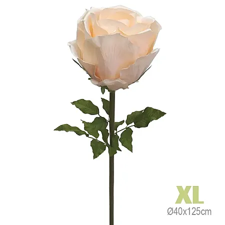 images/uploads/23990/thumb_23832-40-2 XL.webp